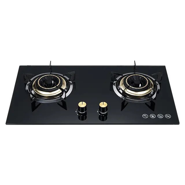 BlackArk Gas Stove (2 Burner, Tempered Glass)